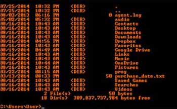 old computer monitor with amber text